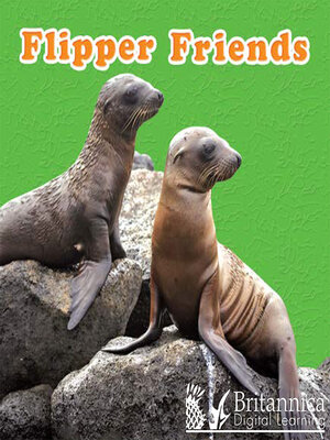 cover image of Flipper Friends